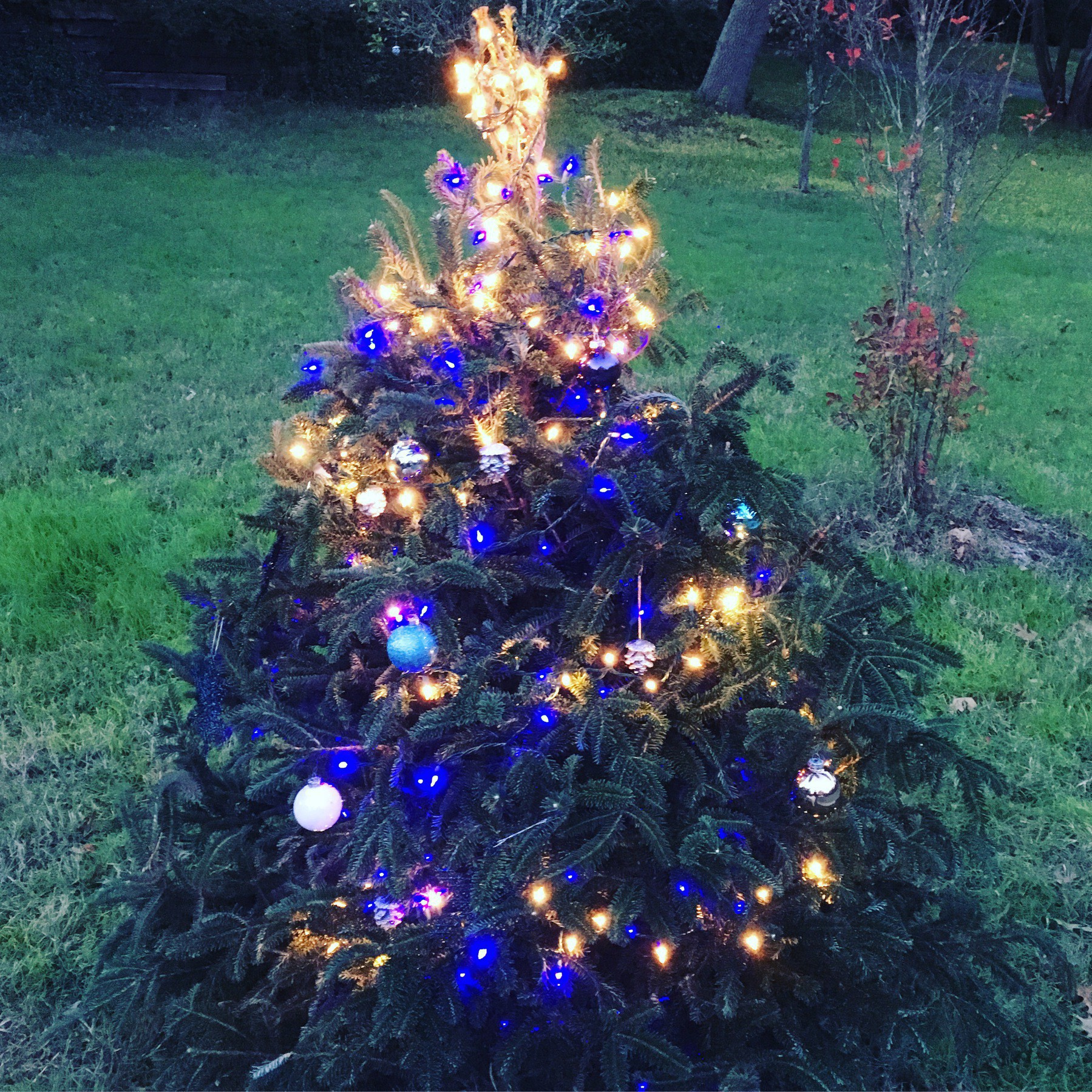 Blue lights for the outside tree