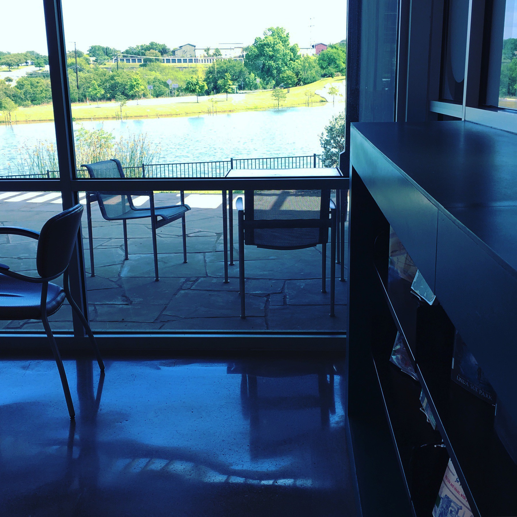 Pond view at Lake Travis Community Library